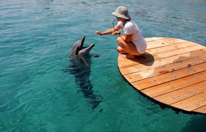 Dolphin Reef Beach , Israel